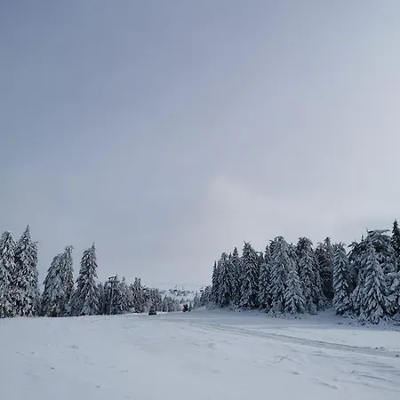 Milmari Star S71 Lux Lägenhet