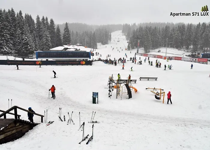 Milmari Star S71 Lux 카파오닉