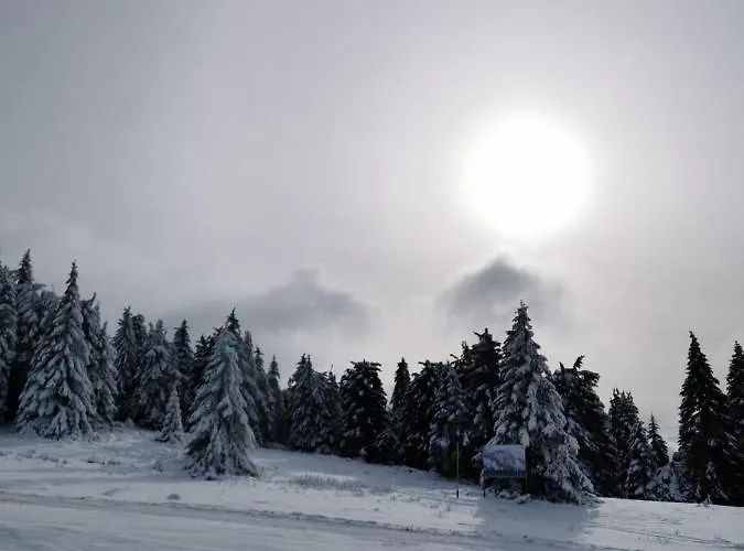 Milmari Star S71 Lux 아파트 *