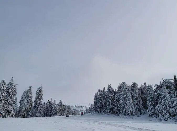 Milmari Star S71 Lux 아파트